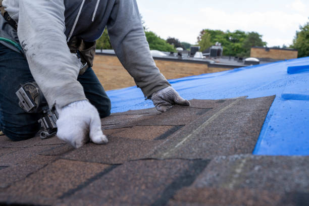 Best Best Roofing Contractors  in Warrensburg, IL