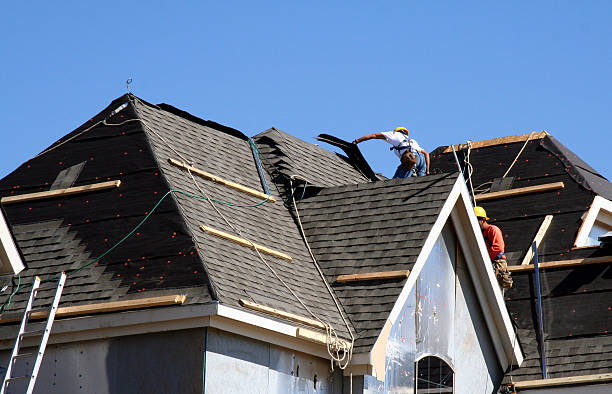 Best Shingle Roofing Installation  in Warrensburg, IL