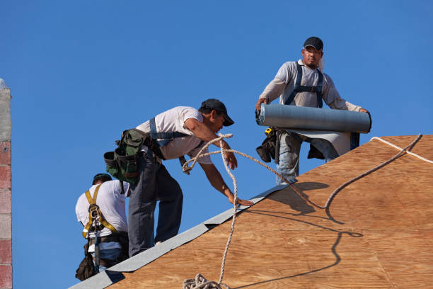 Best Sealant for Roof  in Warrensburg, IL