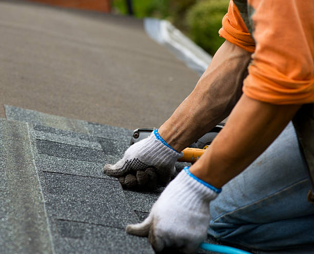 Best Commercial Roofing Services  in Warrensburg, IL